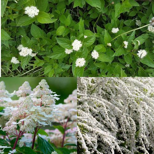 Комплект СКАНДИНАВСКИЙ СТИЛЬ в Уральске