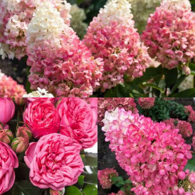 Комплект МАЛИНОВЫЙ ДЕСЕРТ в Уральске