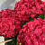 Гортензия ЭНДЛЕСС САММЕР ЛАВ крупнолистная в Уральске