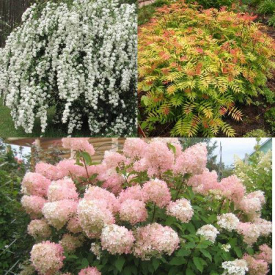 Комплект ФЕЙЕРВЕРК ЛЕТА в Уральске